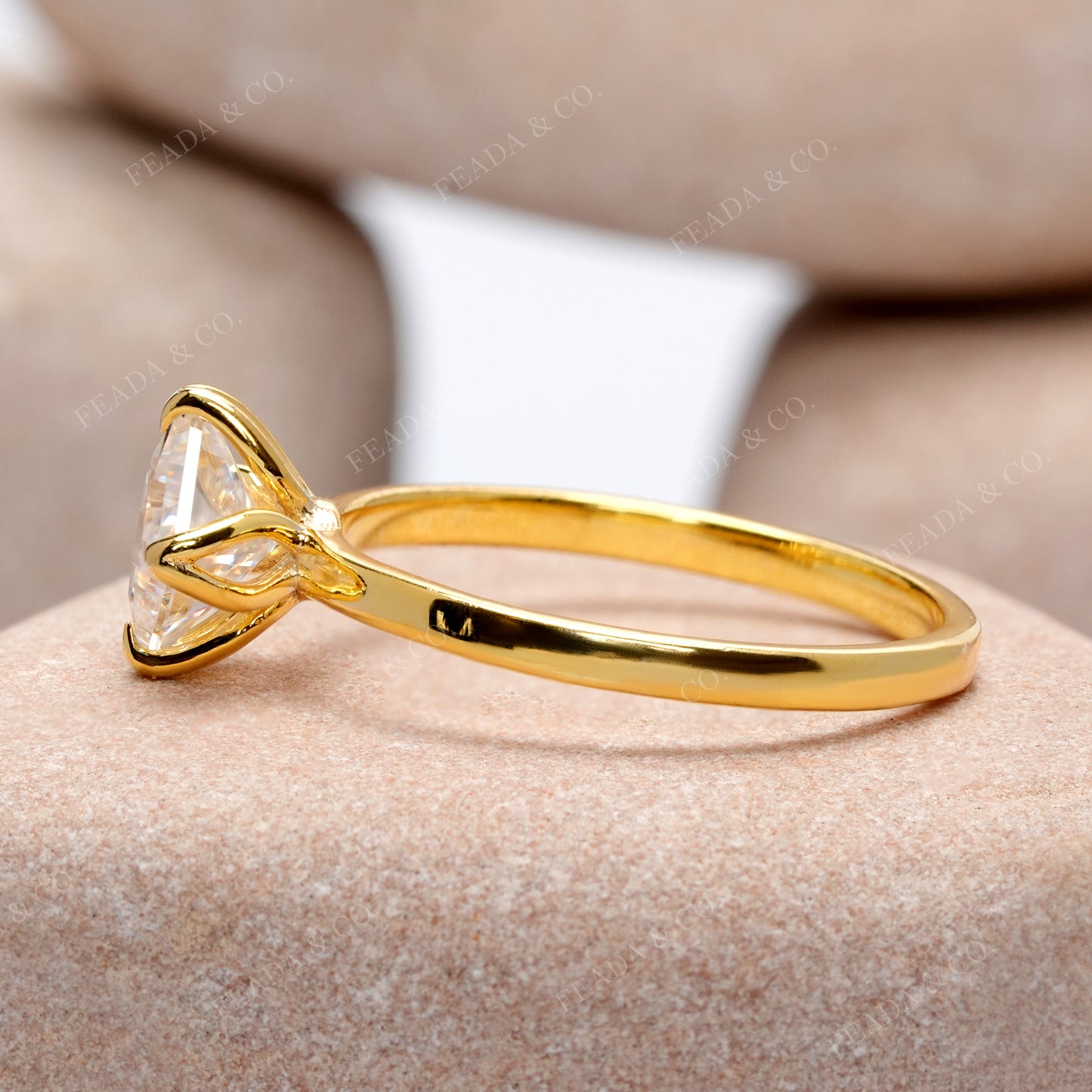 Princess Cut Colorless Engagement Ring